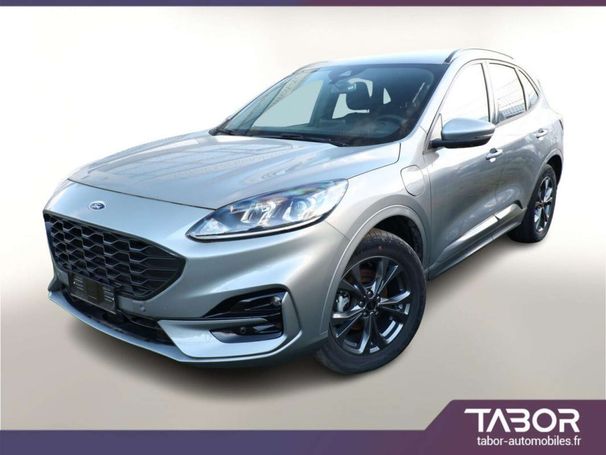 Ford Kuga 165 kW image number 1