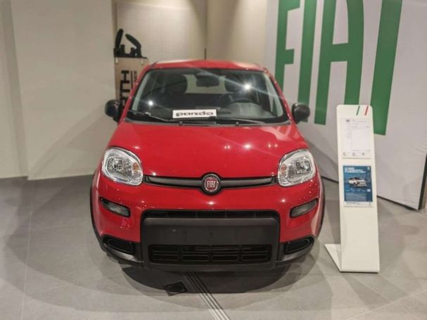 Fiat Panda 51 kW image number 4