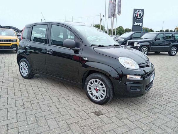 Fiat Panda 1.0 Hybrid 51 kW image number 2