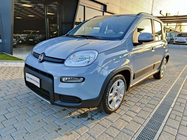 Fiat Panda 1.0 Hybrid City Life 51 kW image number 1