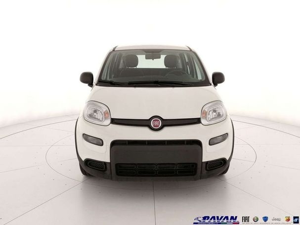 Fiat Panda 1.0 Hybrid 51 kW image number 2