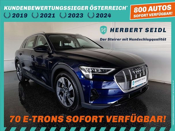 Audi e-tron 50 quattro 230 kW image number 1