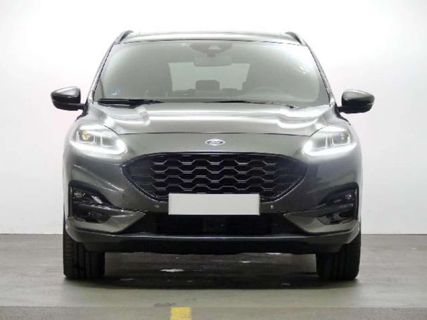 Ford Kuga 166 kW image number 2