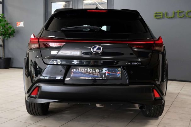 Lexus UX 250h Executive Line 135 kW image number 24