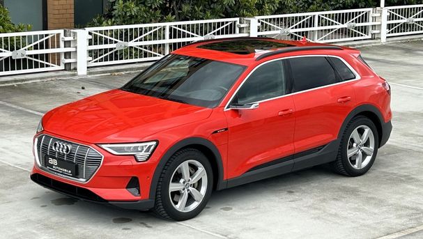 Audi e-tron 55 quattro 300 kW image number 10