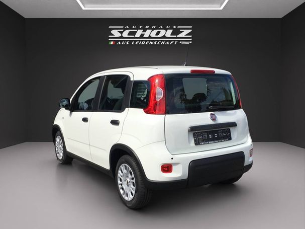 Fiat Panda 51 kW image number 6