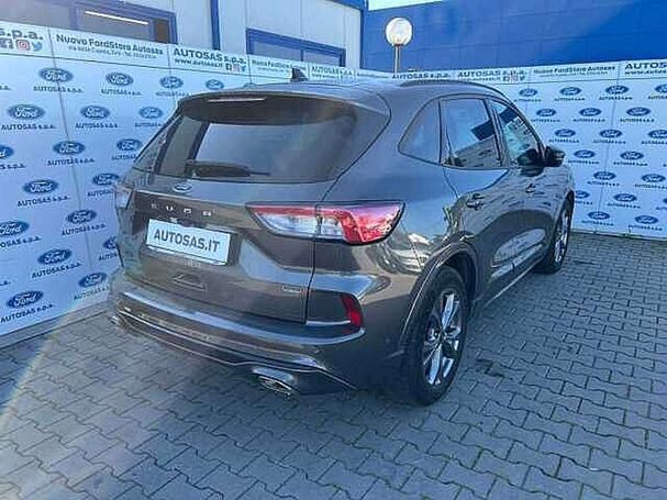 Ford Kuga 132 kW image number 3