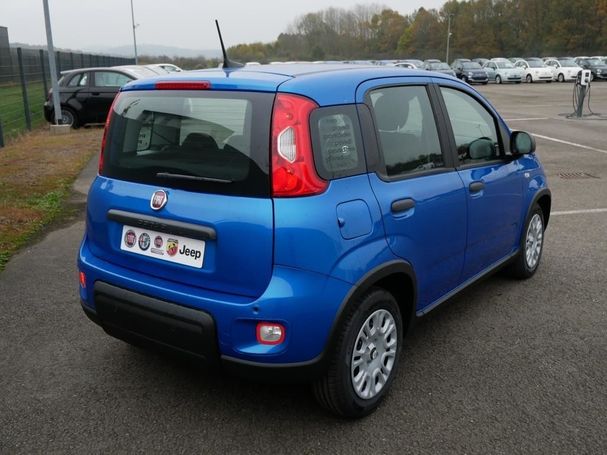 Fiat Panda 51 kW image number 3