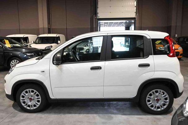 Fiat Panda 1.0 Hybrid 51 kW image number 7