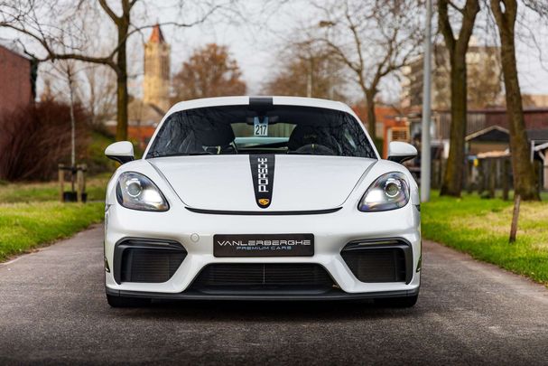 Porsche Cayman GT4 4.0 309 kW image number 3