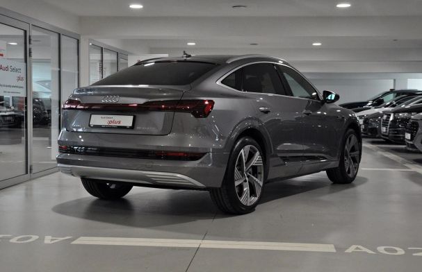 Audi e-tron 55 quattro Advanced 300 kW image number 7