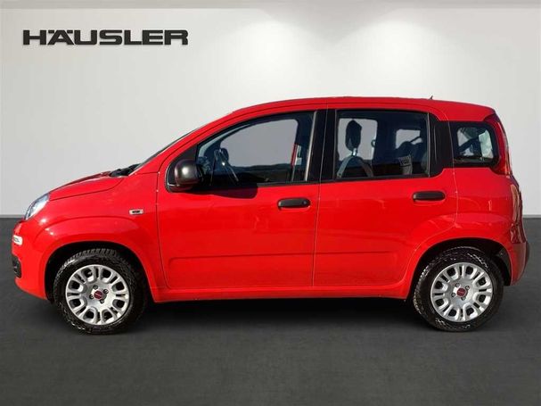 Fiat Panda 1.2 Easy 51 kW image number 6