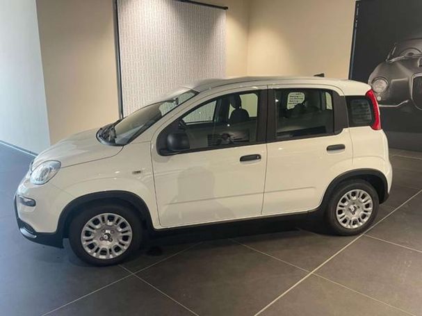 Fiat Panda 51 kW image number 5