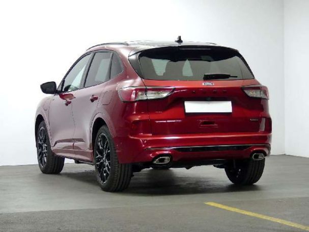 Ford Kuga 165 kW image number 5