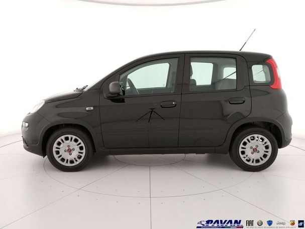 Fiat Panda 1.0 Hybrid 51 kW image number 6