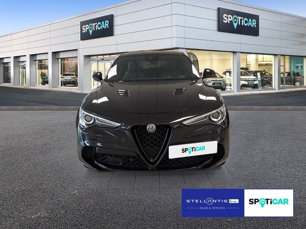 Alfa Romeo Stelvio V6 2.9 Bi-Turbo Quadrifoglio 375 kW image number 6