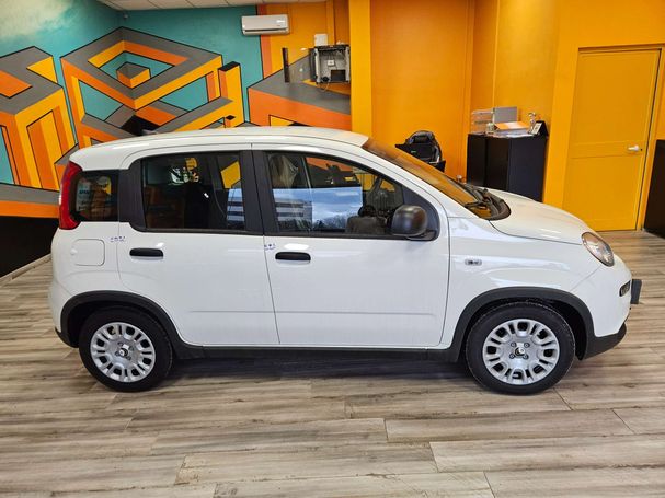 Fiat Panda 51 kW image number 4