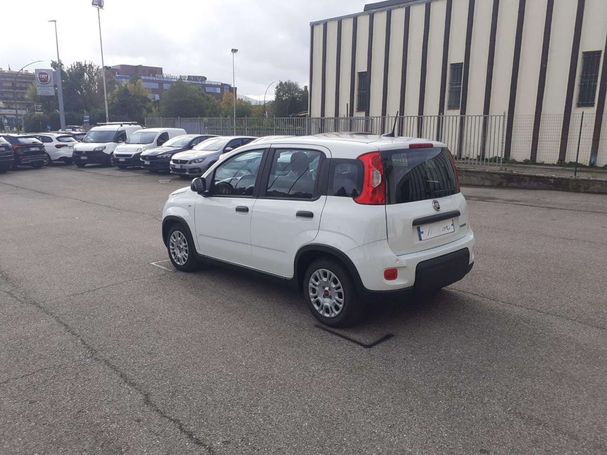 Fiat Panda 1.0 Hybrid 51 kW image number 10