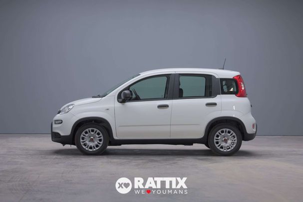 Fiat Panda 1.0 Hybrid 51 kW image number 3