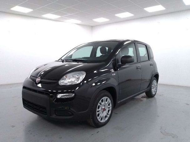 Fiat Panda 1.2 51 kW image number 1