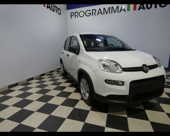 Fiat Panda 1.0 Hybrid 51 kW image number 3