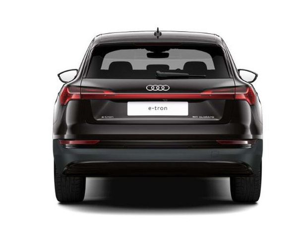 Audi e-tron 50 quattro 230 kW image number 3