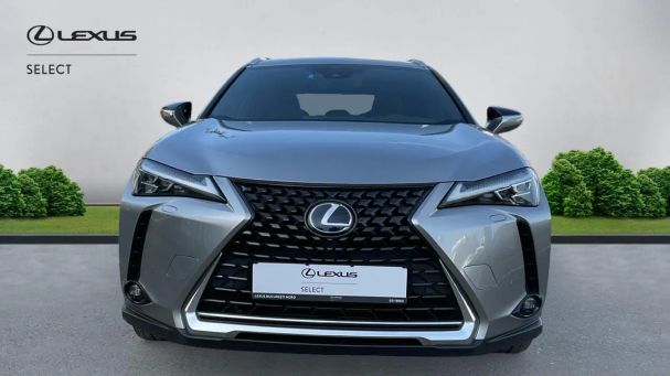 Lexus UX 135 kW image number 2