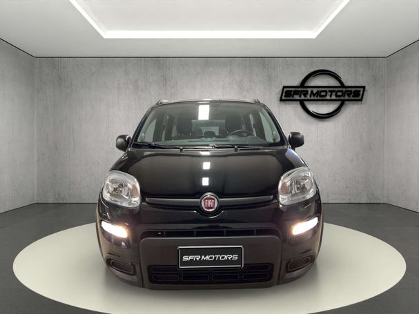 Fiat Panda 1.0 Hybrid 51 kW image number 2