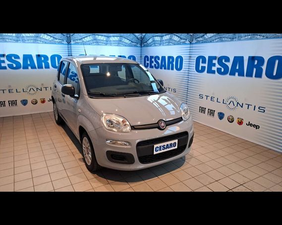 Fiat Panda 1.0 Hybrid 51 kW image number 2