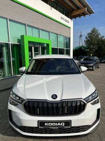 Skoda Kodiaq 2.0 TDI 4x4 DSG 142 kW image number 8