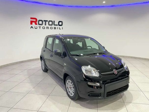 Fiat Panda 51 kW image number 4