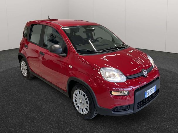 Fiat Panda 51 kW image number 2