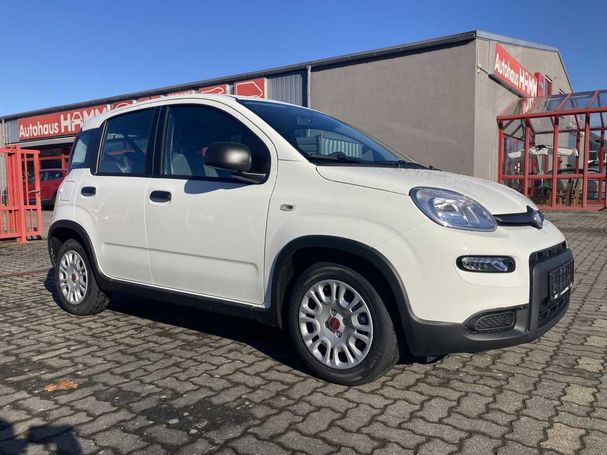 Fiat Panda 1.0 Hybrid 51 kW image number 2