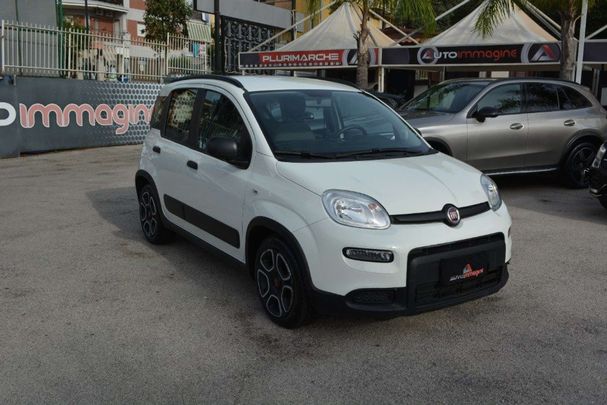 Fiat Panda 1.0 Hybrid City Life 51 kW image number 2