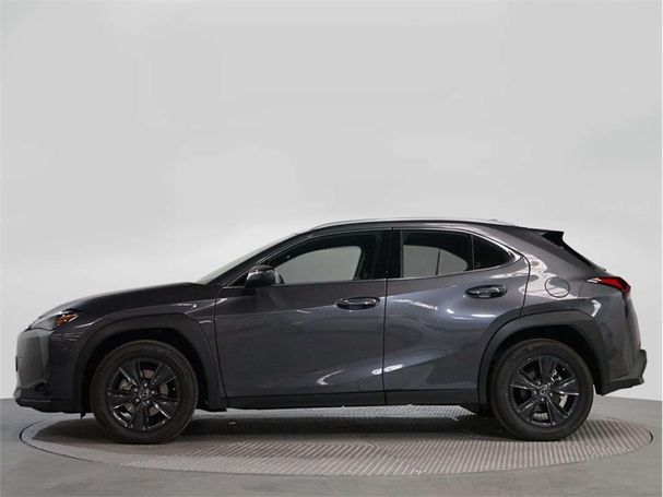 Lexus UX 250h 135 kW image number 5