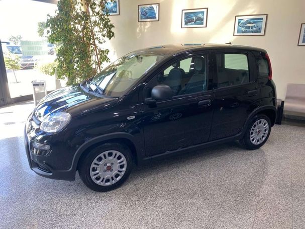 Fiat Panda 1.0 Hybrid 51 kW image number 2