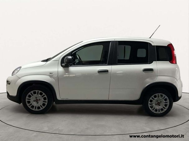 Fiat Panda 1.0 Hybrid 51 kW image number 5