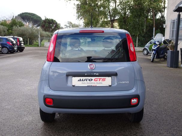 Fiat Panda 1.0 Hybrid 51 kW image number 6