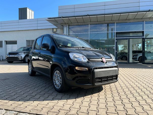 Fiat Panda 51 kW image number 2