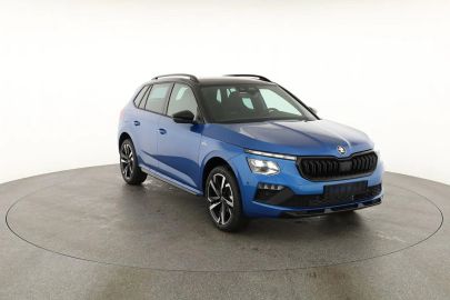 Car image 30