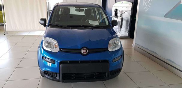 Fiat Panda 1.0 Hybrid 51 kW image number 3