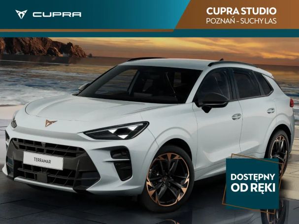 Cupra Terramar 110 kW image number 1