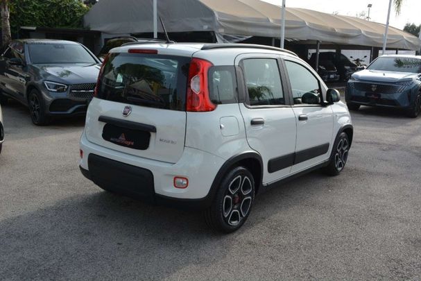 Fiat Panda 1.0 Hybrid City Life 51 kW image number 3