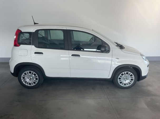 Fiat Panda 51 kW image number 4