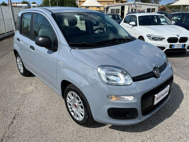 Fiat Panda 1.0 Hybrid 51 kW image number 2