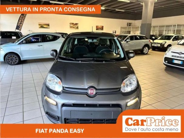 Fiat Panda 1.0 51 kW image number 9