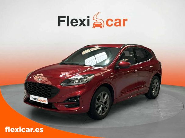 Ford Kuga 1.5 EcoBoost ST-Line 110 kW image number 1