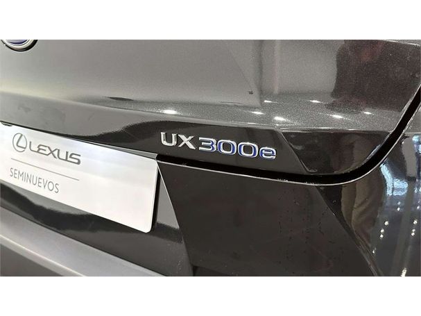 Lexus UX 300e 150 kW image number 5