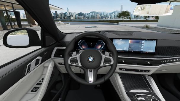 BMW X6 xDrive 250 kW image number 10