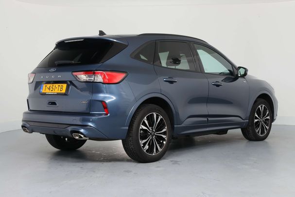 Ford Kuga 165 kW image number 4